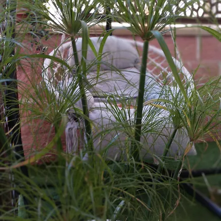 La Casa Di Beppe E Madia ビシェーリエ